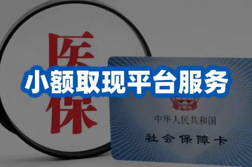 小额取现平台服务